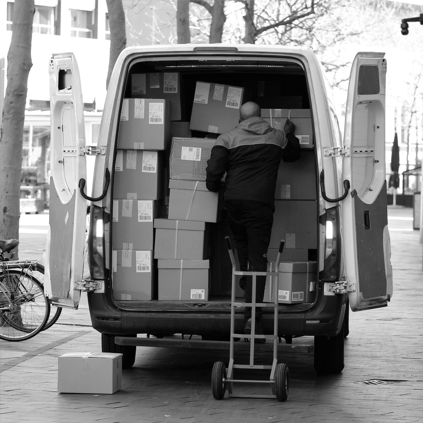 Domestic Shipping